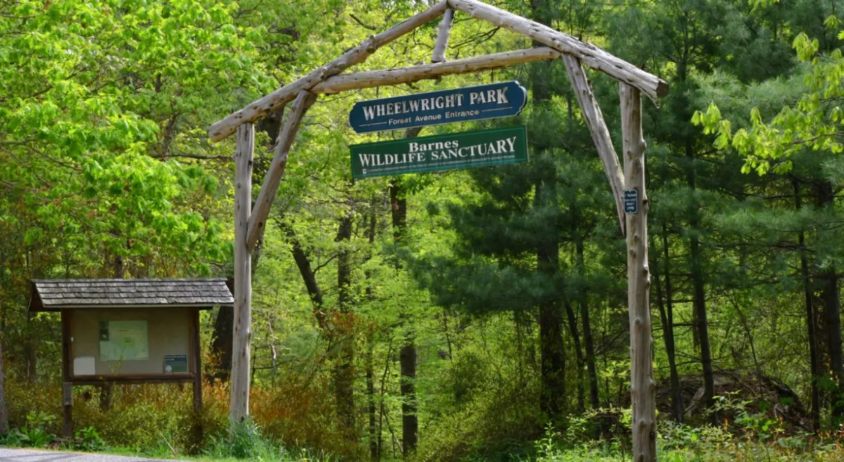 Wheelwright Park