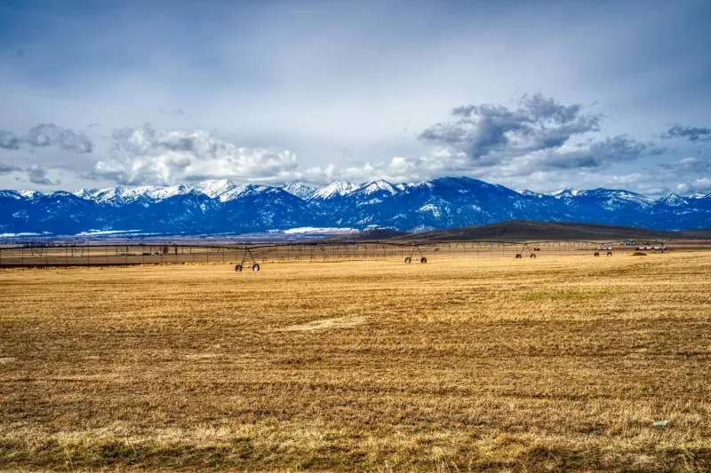 Uncle Sam's Billion-Dollar Plan to Pay Farmers for Growing Absolutely Nothing