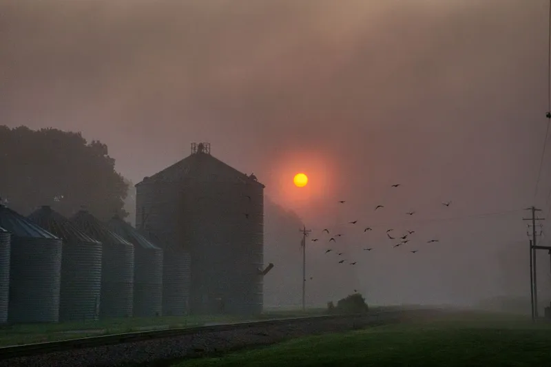 The Kansas Town Where Everyone Kept Falling Asleep — Standing Up, Mid-Sentence, Mid-Life