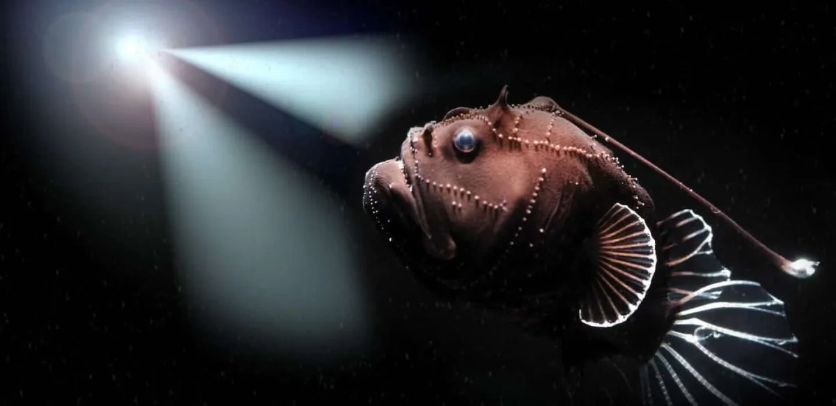 Woods Hole Oceanographic Institution