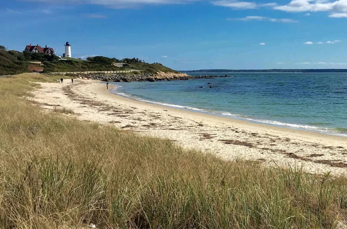 Cape Cod
