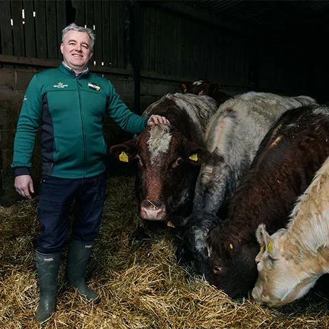 Ephraim Morrison's barn