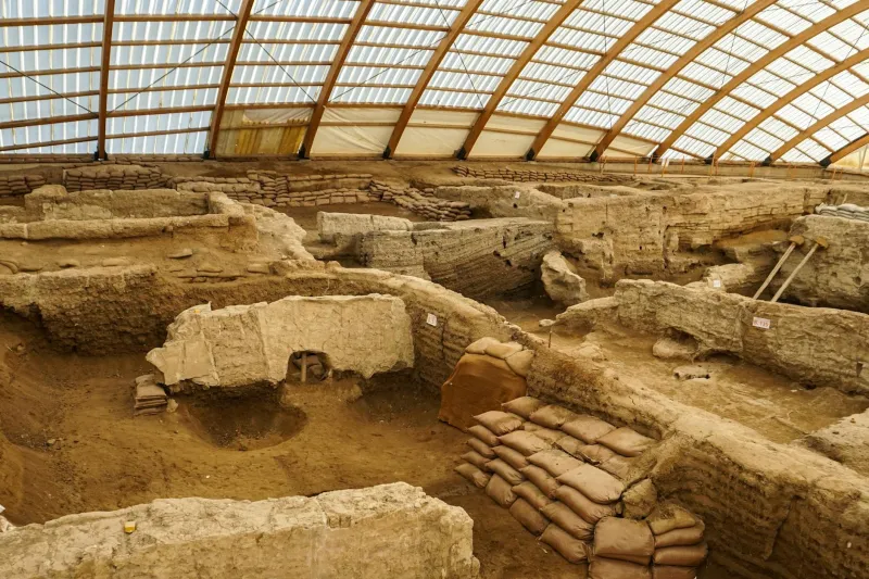 The Thirsty Dentist Who Accidentally Rewrote Human History with a Shovel