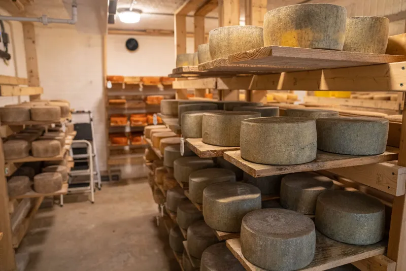 This Man's Entire Federal Career Was Listening to Cheese
